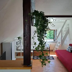 Saaler Pfandl Ferienwohnung Zentral Gelegen Apartment